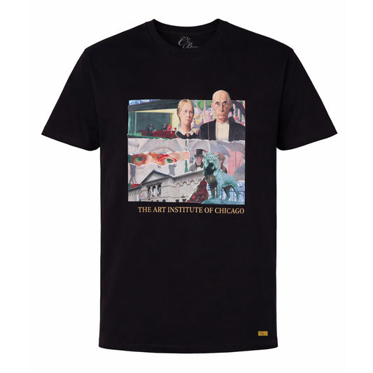 Art Of Chicago Tee (Black)